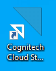 Cognitech Cloud Icon	